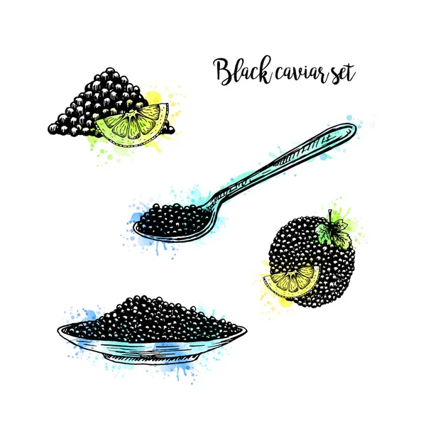 Aquarell handgezeichnetes Tellerset mit schwarzem Kaviar. — Stockvektor