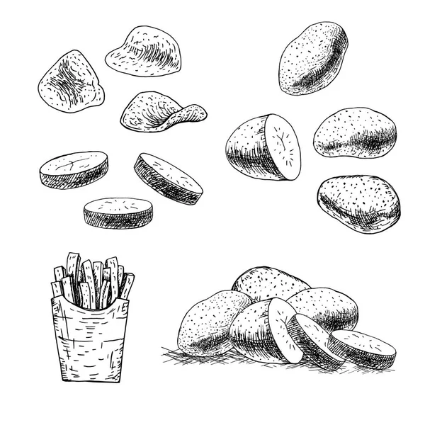 Set disegnato a mano di patate. Schizzo vettoriale — Vettoriale Stock