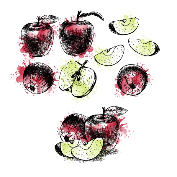 Aquarelle Ensemble de pommes dessiné à la main. Croquis vectoriel — Image vectorielle