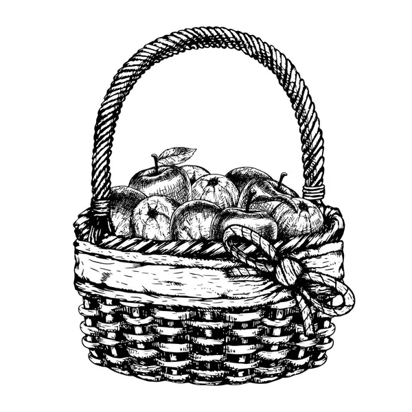 Cesta dibujada a mano con manzanas. Boceto vectorial — Archivo Imágenes Vectoriales