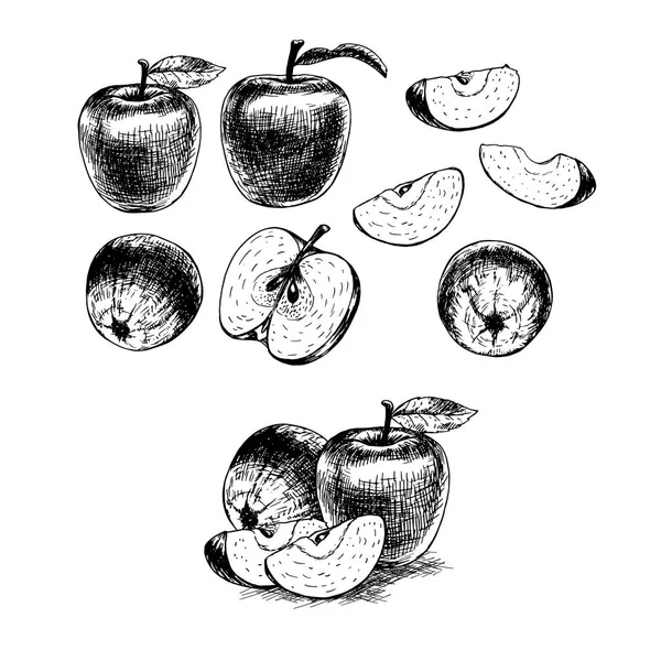 Juego de manzanas dibujadas a mano. Boceto vectorial — Vector de stock