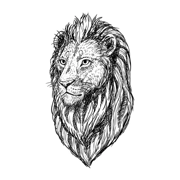 Hand ritad skiss av lejonhuvud. Vektorillustration. — Stock vektor