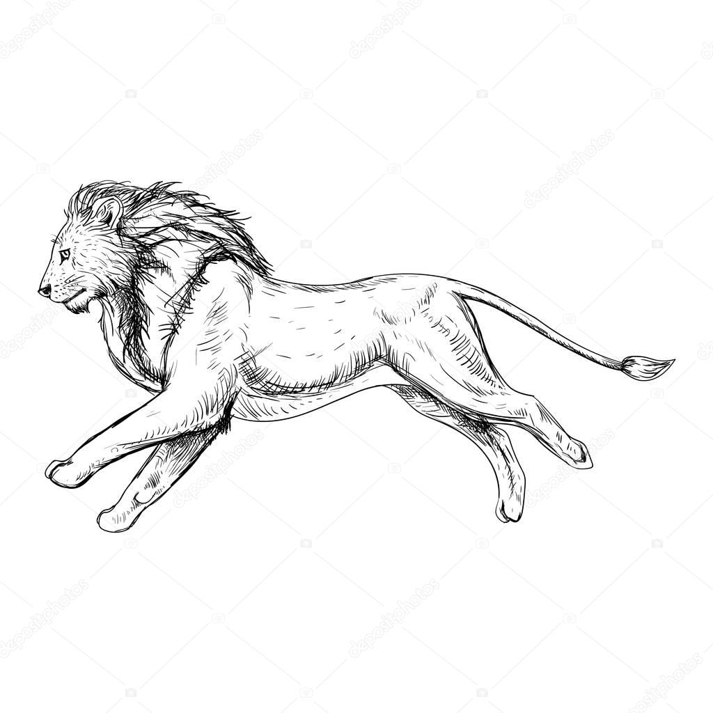 Free Free 65 Running Lion Svg SVG PNG EPS DXF File