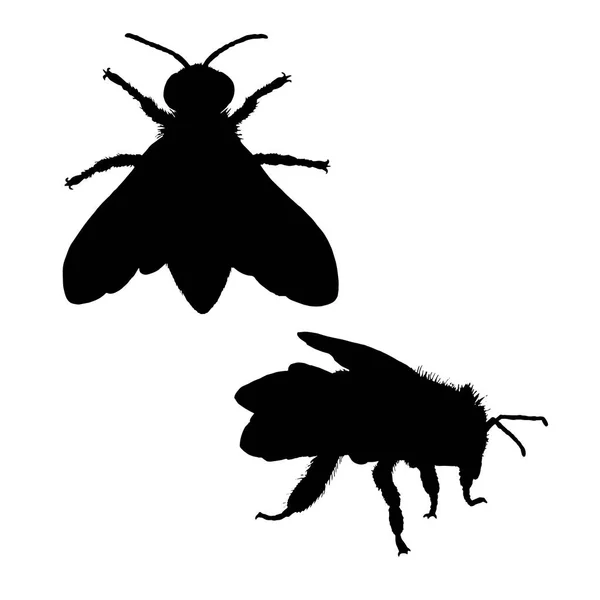 Bee silhouette. Black white icon. Vector illustration. — Stock Vector