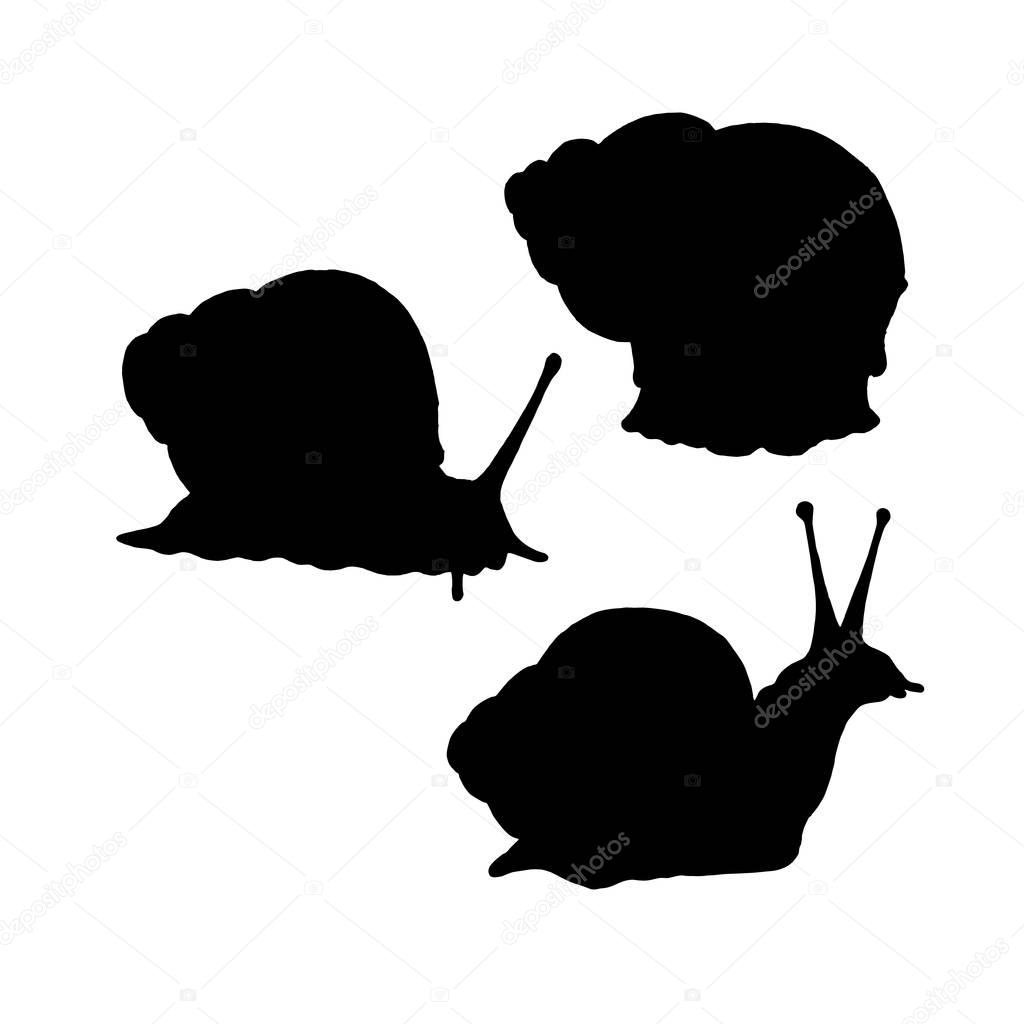 Snail silhouette. Hand drawn image. Black white icon. Vector illustration. Logo desing with fish.