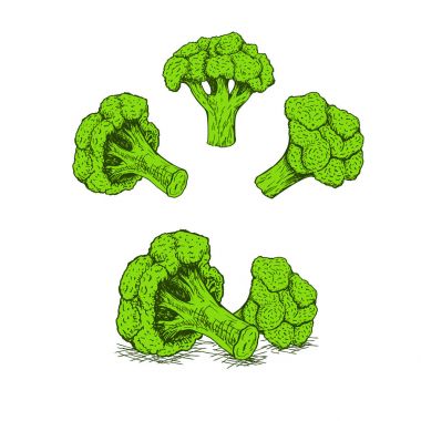 El brokoli dizi çekilmiş. Vektör çizimi