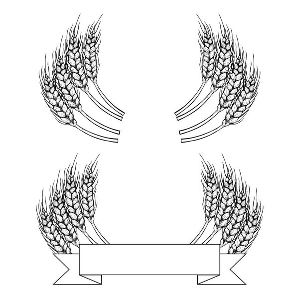 Set de centeno dibujado a mano. Boceto vectorial — Archivo Imágenes Vectoriales