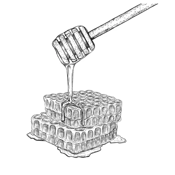 Conjunto desenhado à mão de favo de mel com pau de mel. Esboço vetorial — Vetor de Stock