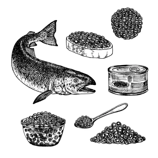 Ensemble dessiné à la main de caviar rouge . — Image vectorielle