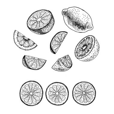 El limon dizi çekilmiş. Vektör çizimi