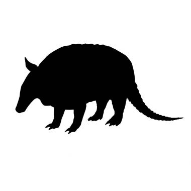 Armadillo siluet. Siyah beyaz simgesi. Vektör çizim.