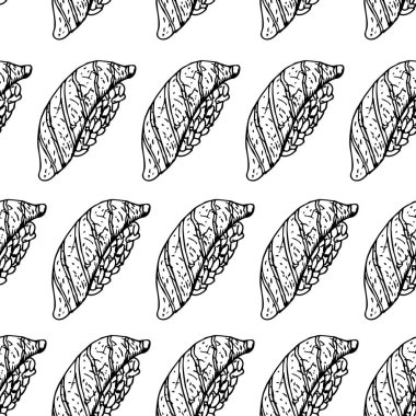 El arka plan suşi ile çekilmiş. Vektör seamless modeli