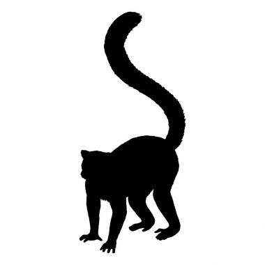 Download Lemur Silhouette Free Vector Eps Cdr Ai Svg Vector Illustration Graphic Art