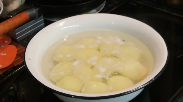马铃薯煮熟, 快进。煮土豆的过程. — 图库视频影像