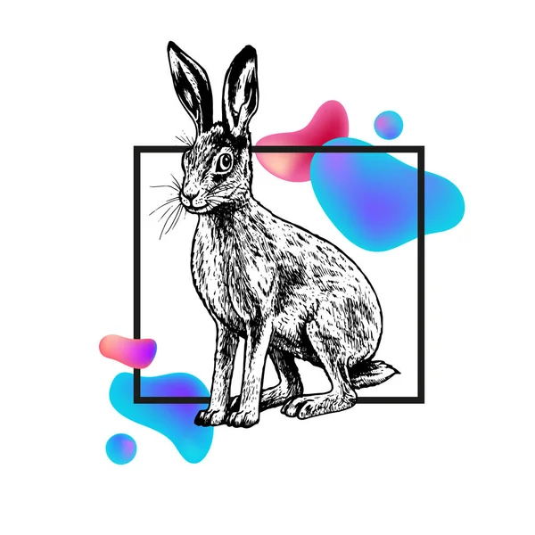 Çerçeve ve soyutlama ile el çizimi tavşan. Vektör siyah beyaz çizimi.