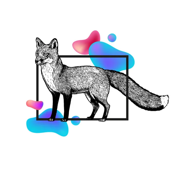 Hand drawn fox with frame and abstraction. Vector black white sketch. — Stock Vector