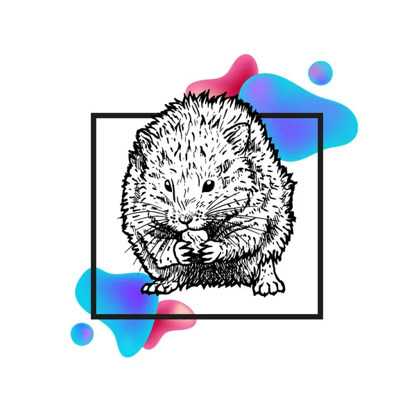 Hand drawn hamster with frame and abstraction. Vector black white sketch. Stock Illustration