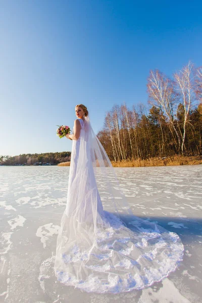 Braut steht mit langem Brautschleier an der Oberfläche des zugefrorenen Sees — Stockfoto