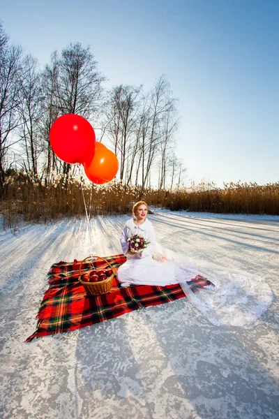 Retrato de la novia en el fondo de la naturaleza invernal — Foto de Stock