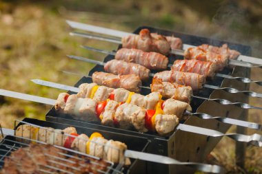 Bir barbekü ızgara et şiş