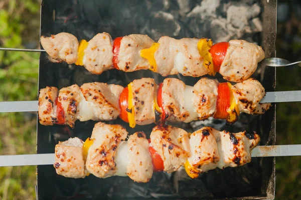 Bir barbekü ızgara et şiş