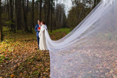 Damat ve gelin sonbahar ormanda çok uzun gelin peçe ile  