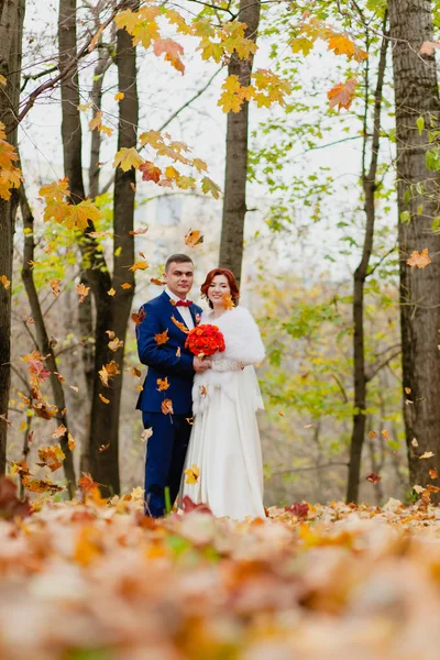 Sposo e sposo nel parco autunnale e foglie volanti autunnali — Foto Stock