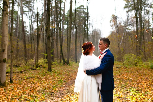 Bruid en bruidegom in het park op de achtergrond van prachtige herfst landschap — Stockfoto
