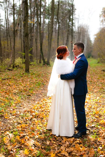 新娘和新郎在公园在美丽的秋天风景背景 — 图库照片