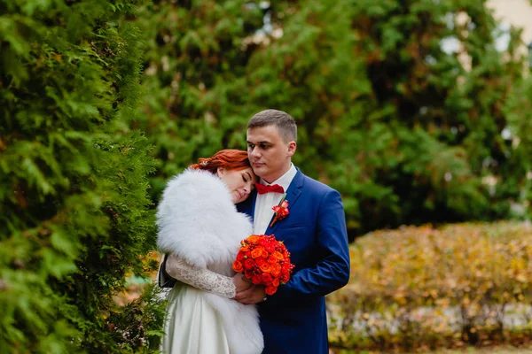 Sposo e sposo nel parco sullo sfondo di un bellissimo paesaggio autunnale — Foto Stock