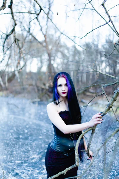 Portrait de la femme gothique sur le lac gelé — Photo