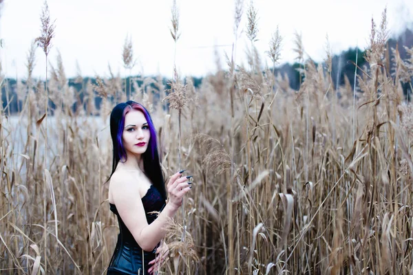 Portret van de gotische vrouw in een hoog, droog gras — Stockfoto