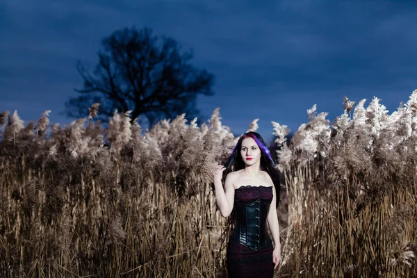 Portret van de gotische vrouw in een hoog, droog gras bij zonsondergang — Stockfoto