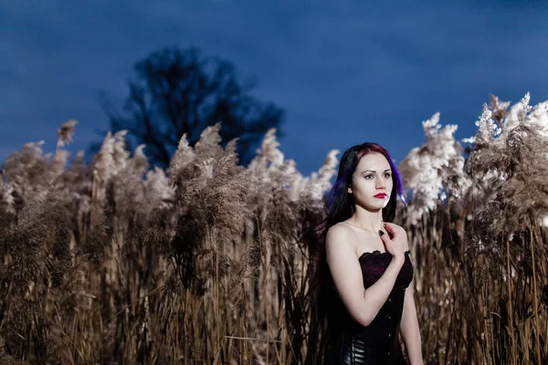 Portrét gothic ženy ve vysoké suché trávě při západu slunce — Stock fotografie