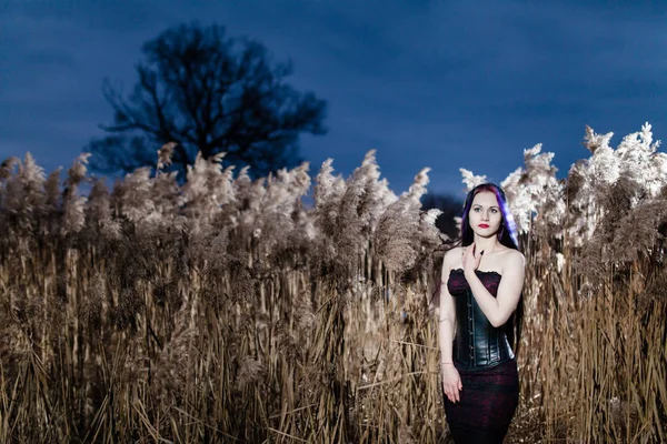 Portrét gothic ženy ve vysoké suché trávě při západu slunce — Stock fotografie