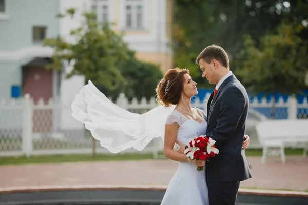 Noivo e noiva com véu de noiva muito longo — Fotografia de Stock