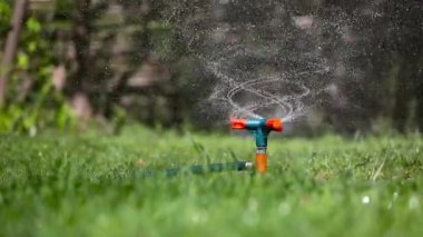 Bahçe yağmurlama sulama çimen