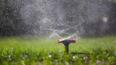 Bahçe yağmurlama sulama çimen