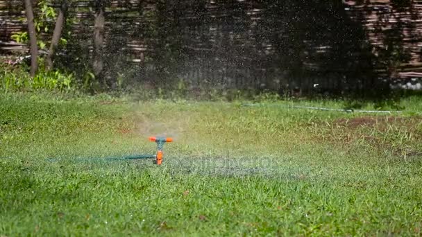 Tuin Sprinkler drenken gras — Stockvideo