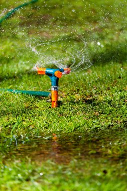 Bahçe yağmurlama sulama çimen