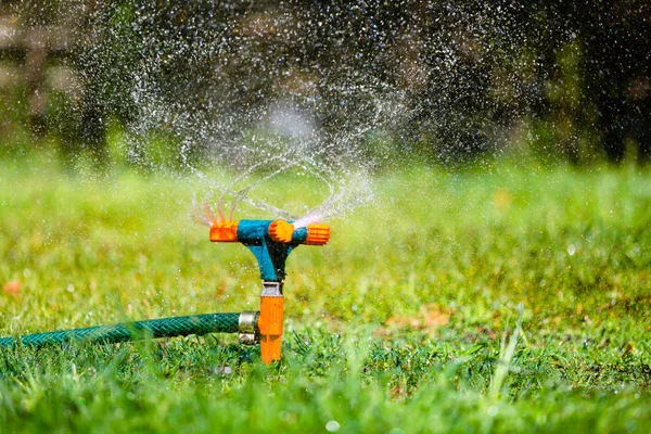 Garden sprinkler watering grass — Stock Photo, Image