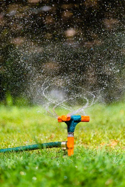 Bahçe yağmurlama sulama çimen — Stok fotoğraf