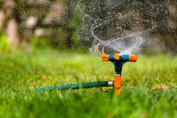 Aspersor de jardín Riego de hierba — Foto de Stock