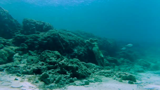 Una estatua solitaria en el fondo del mar — Vídeos de Stock