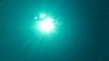 Suyun yüzüyor snorkeler