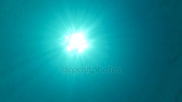 Snorkeler che nuota nella colonna d'acqua — Video Stock