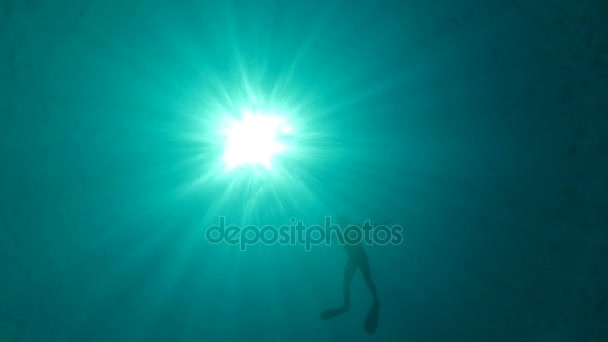 Snorkeler qui nage à la surface de l'eau 