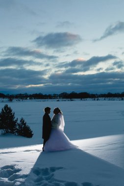 Gelin ve damat ve kış peyzaj