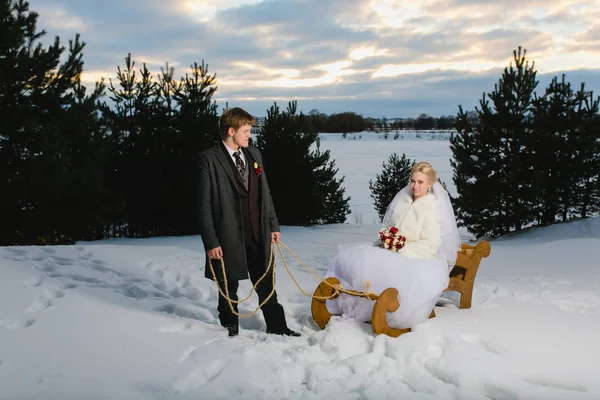 Gelin ve damat ile büyük ahşap kızak