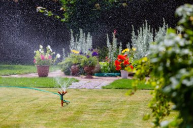 Bahçe yağmurlama sulama çim ve çiçek